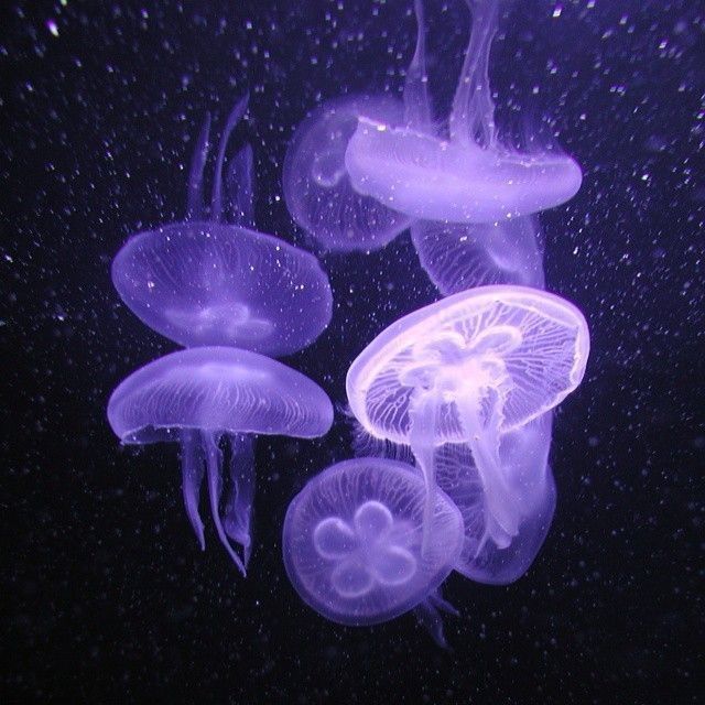 img of Báo cáo cá nhân - Trúc Vy