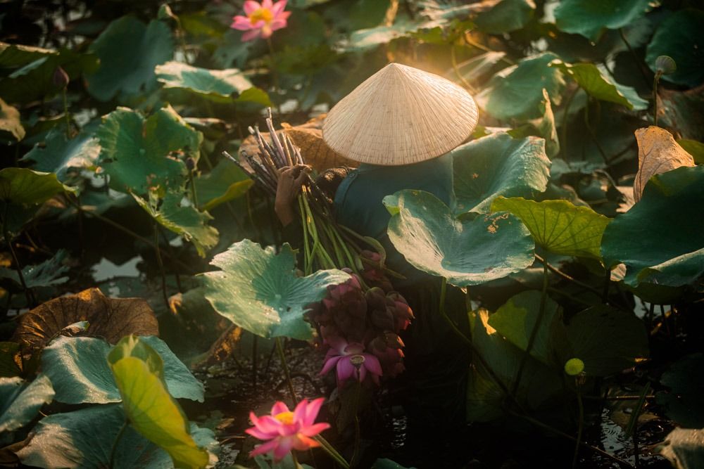 img of Báo cáo cá nhân - Anh Thư